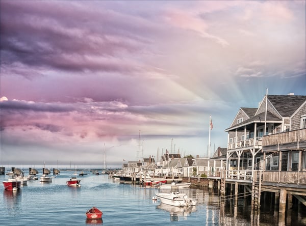 shutterstock_310982588