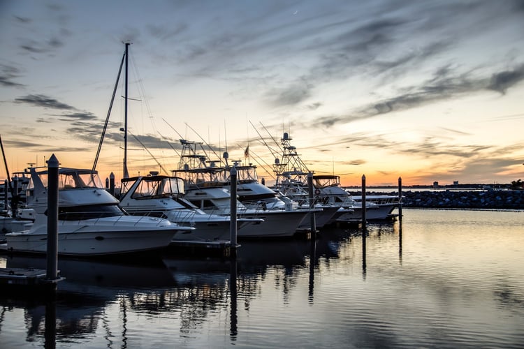 Dockwa marina dashboards displaying real-time marina analytics for revenue, occupancy, and reservations.
